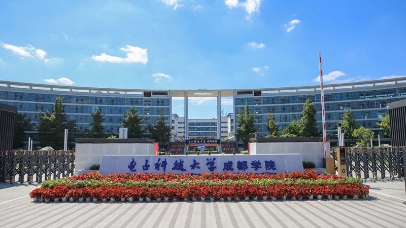 贴片元件：揭秘其背后的生产与直销之道**